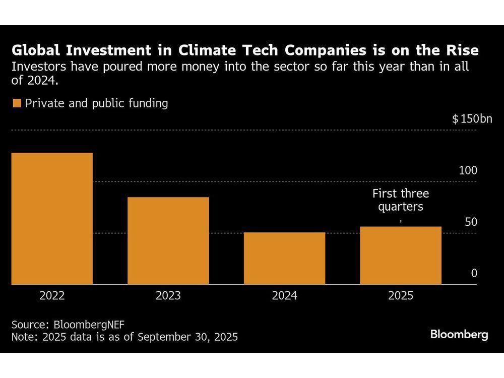 Momentum Capital tweet media