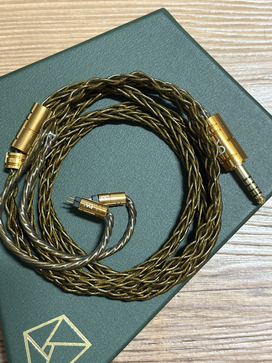 おしゅし こんなに楽しいものはない！ 大人のオモチャ♡ セグウェイ→電動