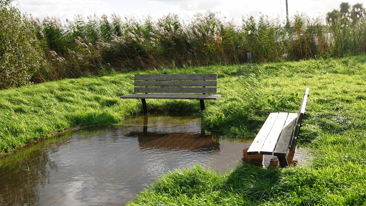 <a href="/BuienRadarNL/">Buienradar</a> <a href="/MeteoVoorne/">Weerman Stefan</a> <a href="/MeteoGouda/">Meteo Gouda</a> <a href="/janvissersweer/">JAN VISSER</a> <a href="/Alpenweerman/">Johanns (Alpen)weer @johannsalpenweer.bsky.social</a> <a href="/TalpaNetwork/">TalpaNetwork</a> <a href="/weeronline/">Weeronline</a> <a href="/Weerplaza/">Weerplaza.nl</a> <a href="/omroepwest/">Omroep West</a> <a href="/pictureofNL/">Mooi Nederland 🇳🇱</a> Vanmiddag naast bewolking ook opklaringen,de meeste kruiwagens zijn omgewaaid,je krijgt natte voeten als je op de bankjes wil zitten....