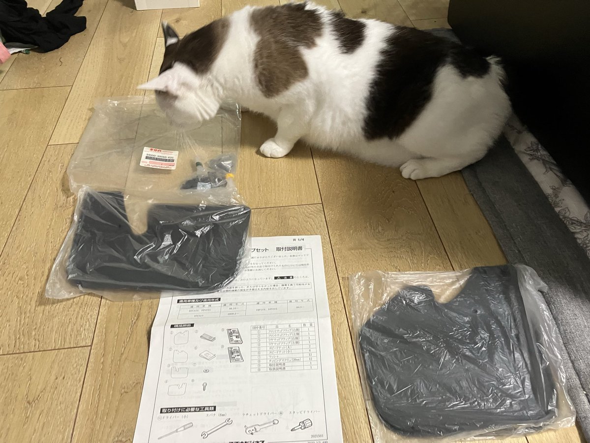 Shiuページ 1_000000015989.jpg?1721812408