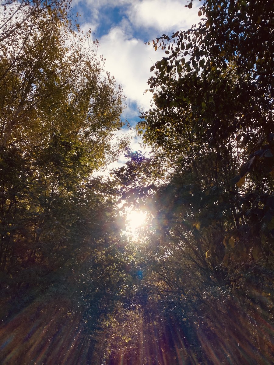 .

Longing speaks in scarlet hues
   in the morning stillness
      when it’s just me and birdsong.
.

🩶

This morning’s photo