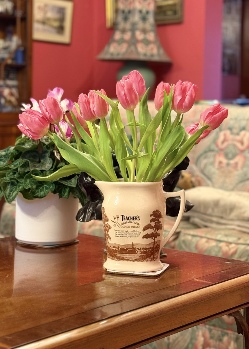 Tulips in October …. a real treat! 

#tulips #tulip #flower