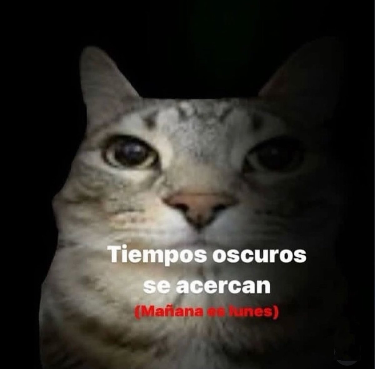 piña sin pizza (@skereunpesado) on Twitter photo 