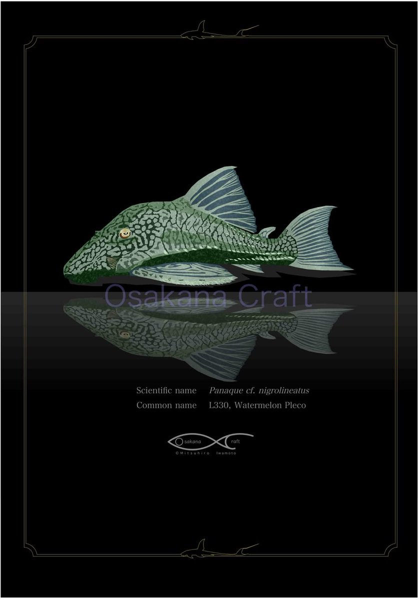 craft (@rfallax) / Posts / X