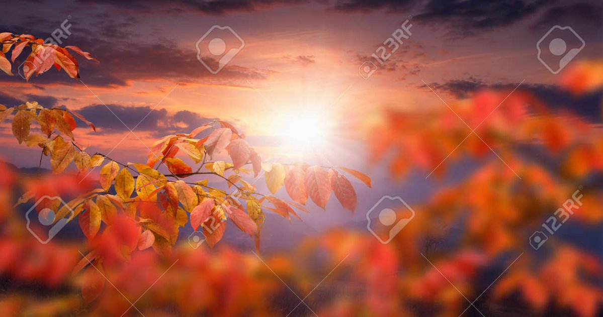 Michelle (@beachcattt) on Twitter photo Happy Sunday. I pray you have a blessed day and wonderful week ahead. Happy Sunday. I pray you have a blessed day and wonderful week ahead.