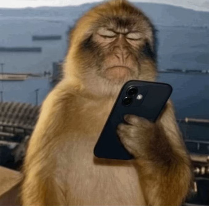 Me waiting for a random guy I gave my WhatsApp number to inbox and I block him 🙂😂😂