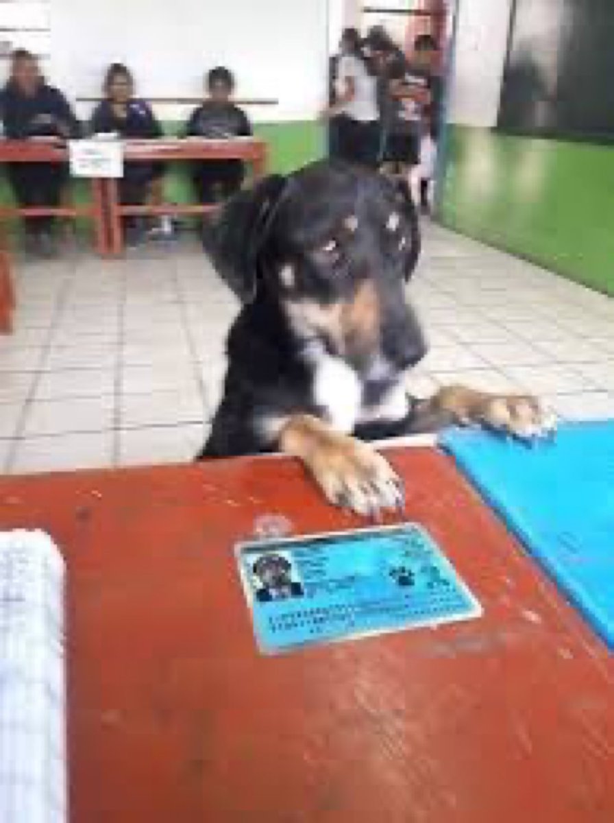 Búsqueme bien señorita, Lucas Janson con J