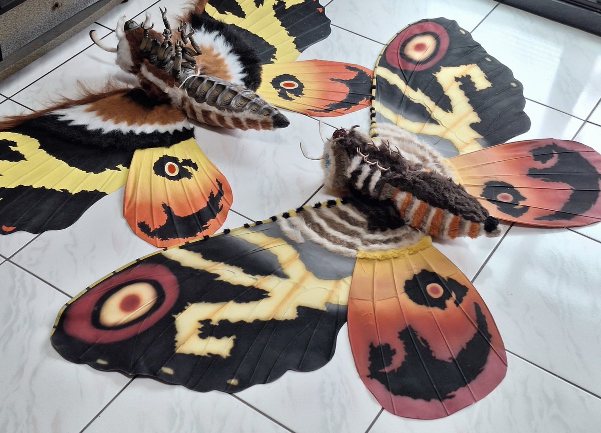 MOTHRA_WORLD (@mothra1224) on Twitter photo 