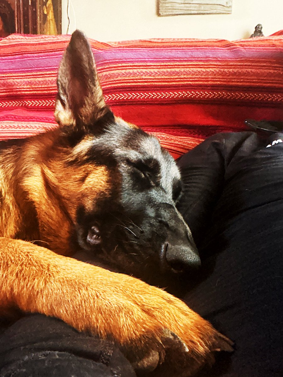 jglezdeleon's tweet image. #Whatelse