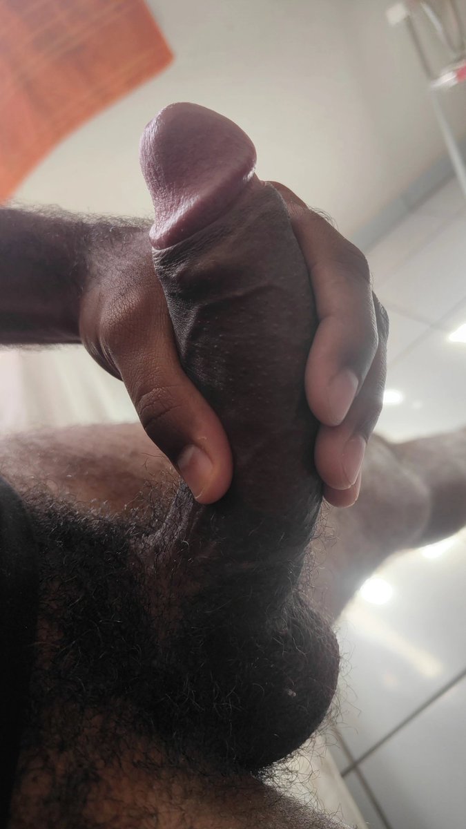 Adestrador Alpha 🇧🇷 tweet media