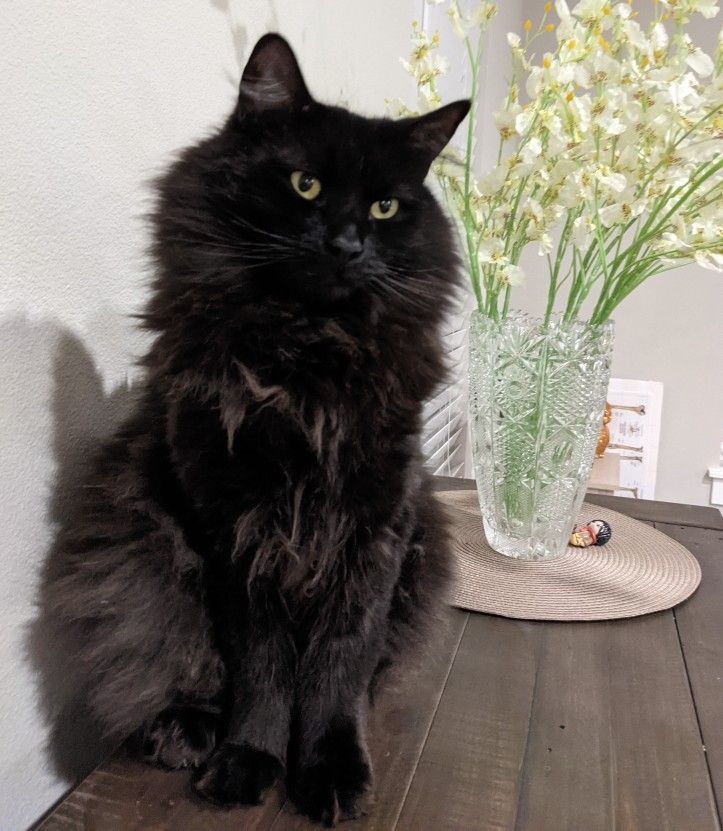 高橋 𝐓𝐊! tweet media