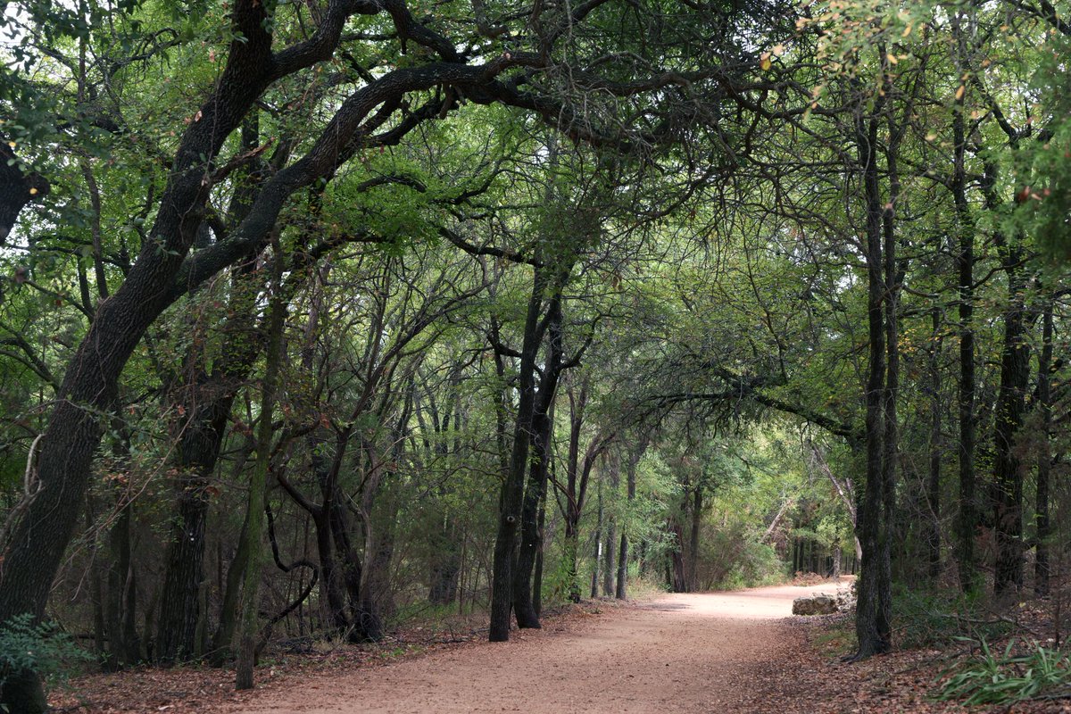 luiscencias's tweet image. 