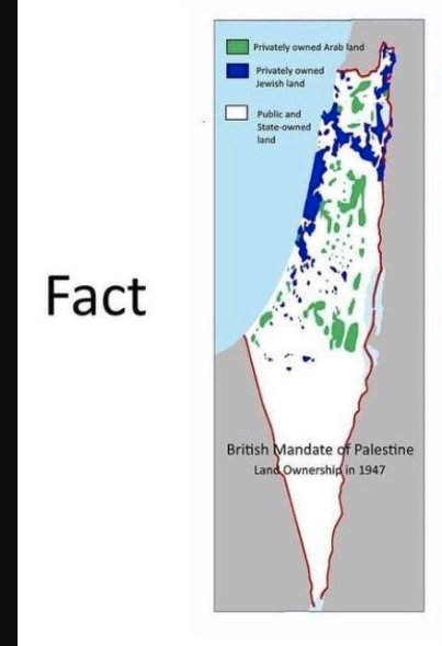 DystopianDaydreams tweet media