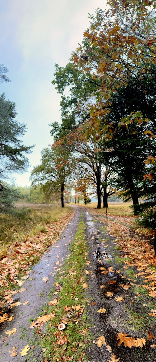 #hardlopen #running🏃‍♂️ Long as I remember the rain been comin' down🎵