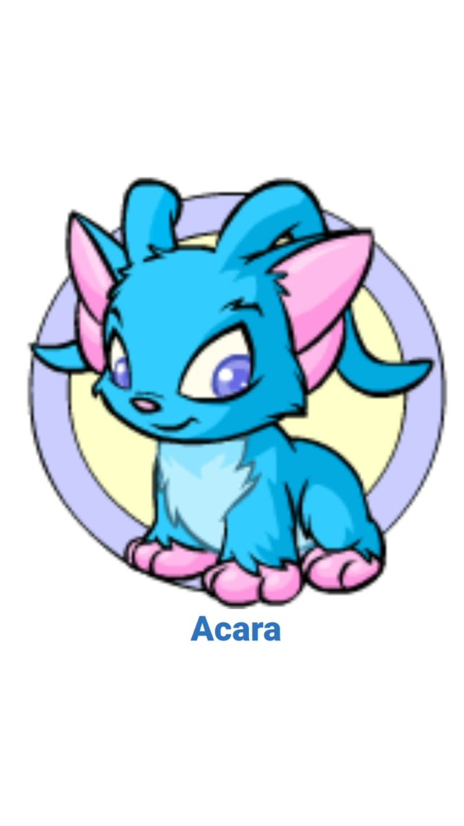 scootie (⁠◍⁠•⁠ᴗ⁠•⁠◍⁠)⁠✧⁠*⁠。 tweet media