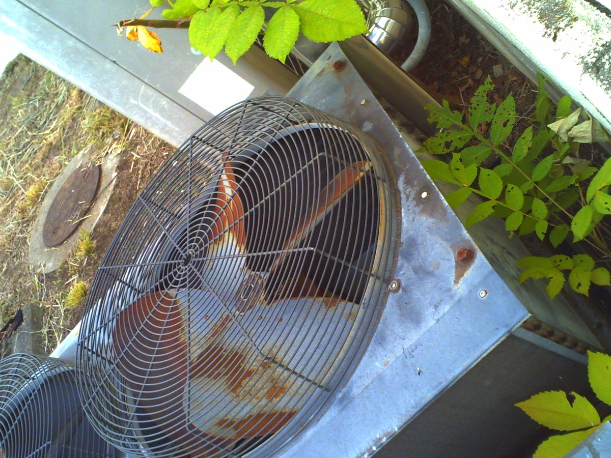 Lilac（ライラック） (@__Lilac) / Posts / X