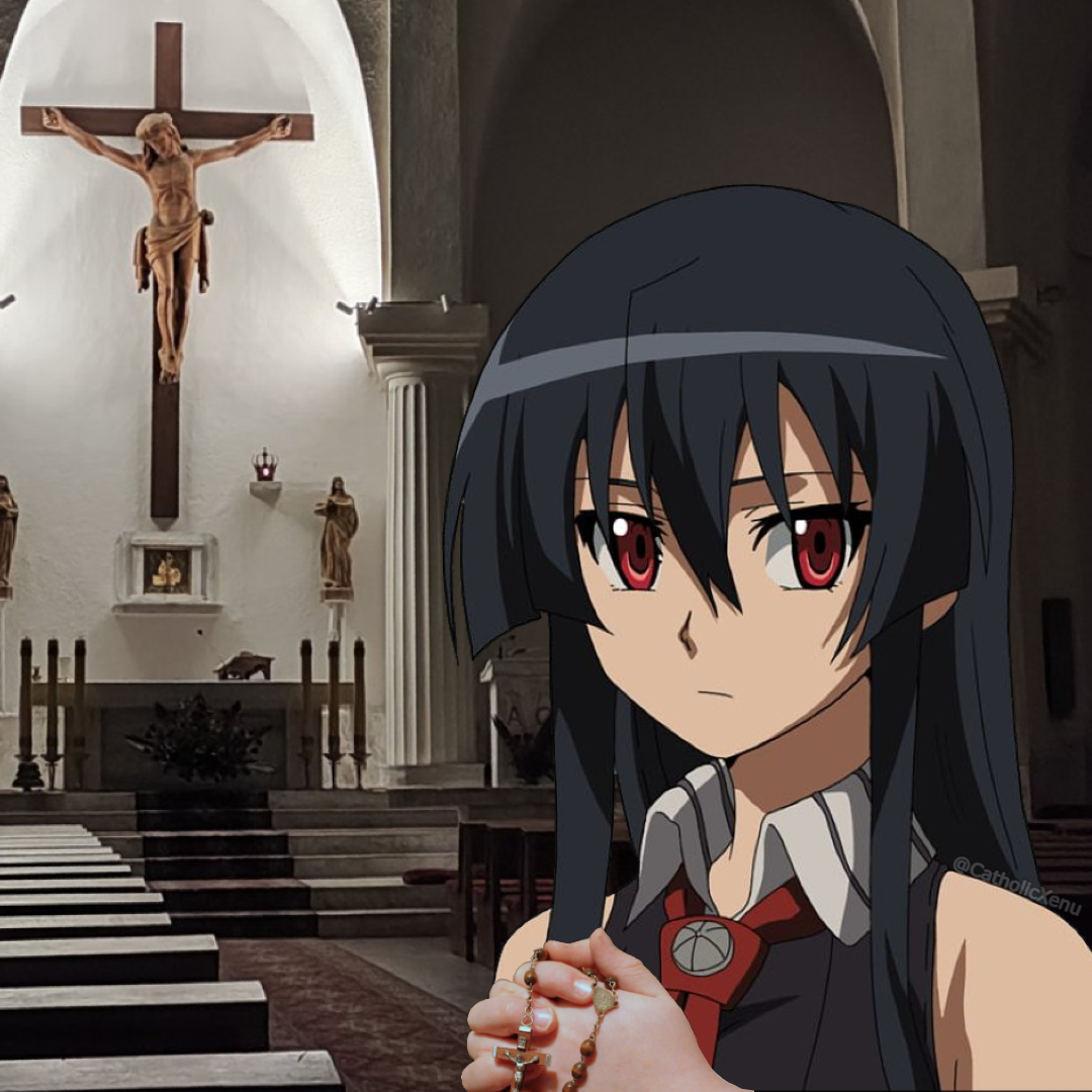 Cultured Crusader tweet media