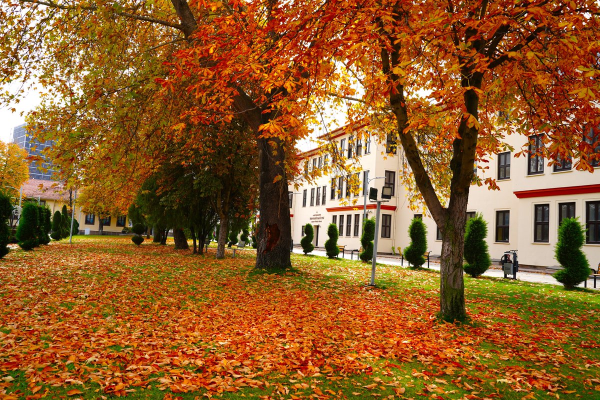 Gazi Üniversitesi Teknoloji Fakültesi tweet media