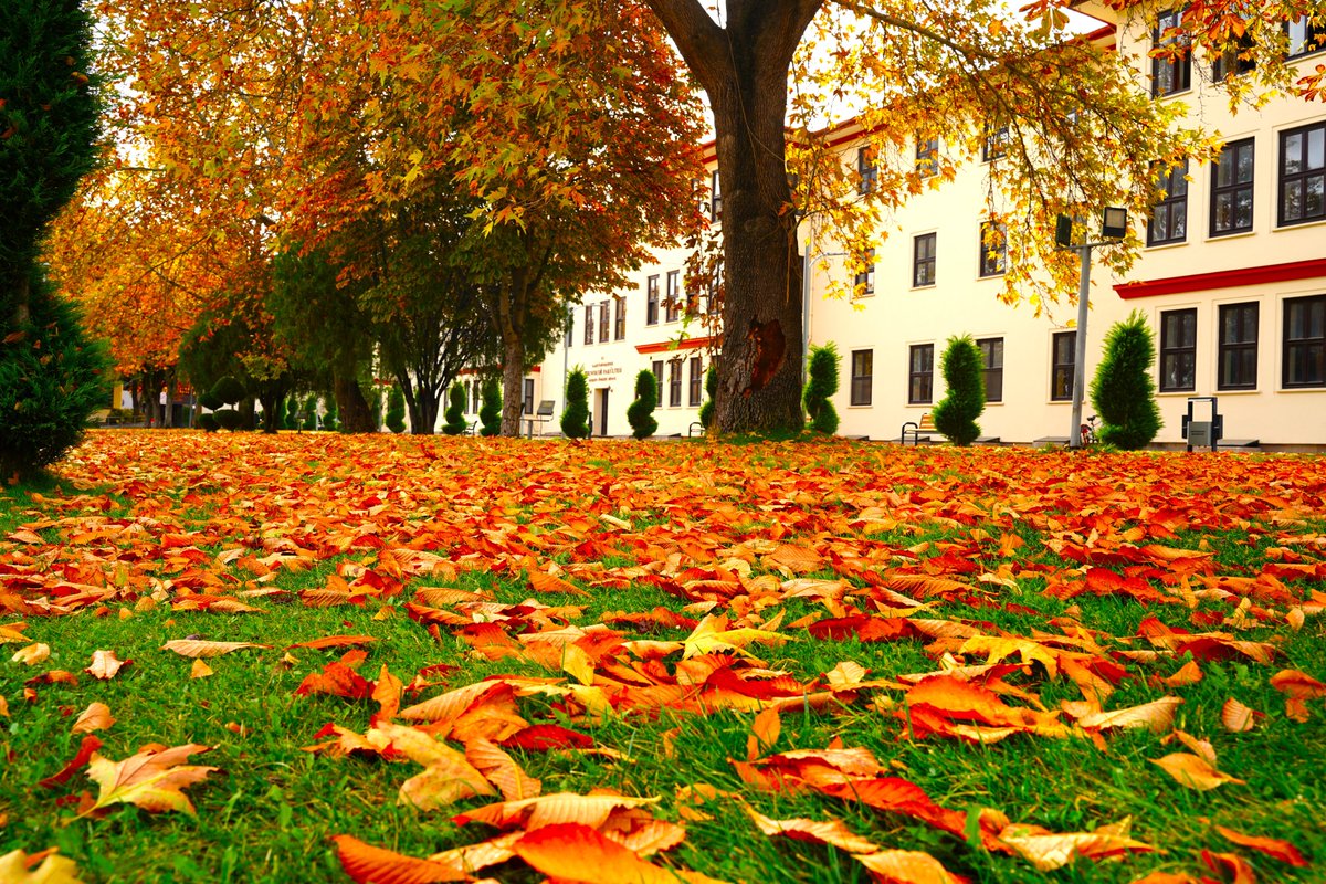 Gazi Üniversitesi Teknoloji Fakültesi tweet media