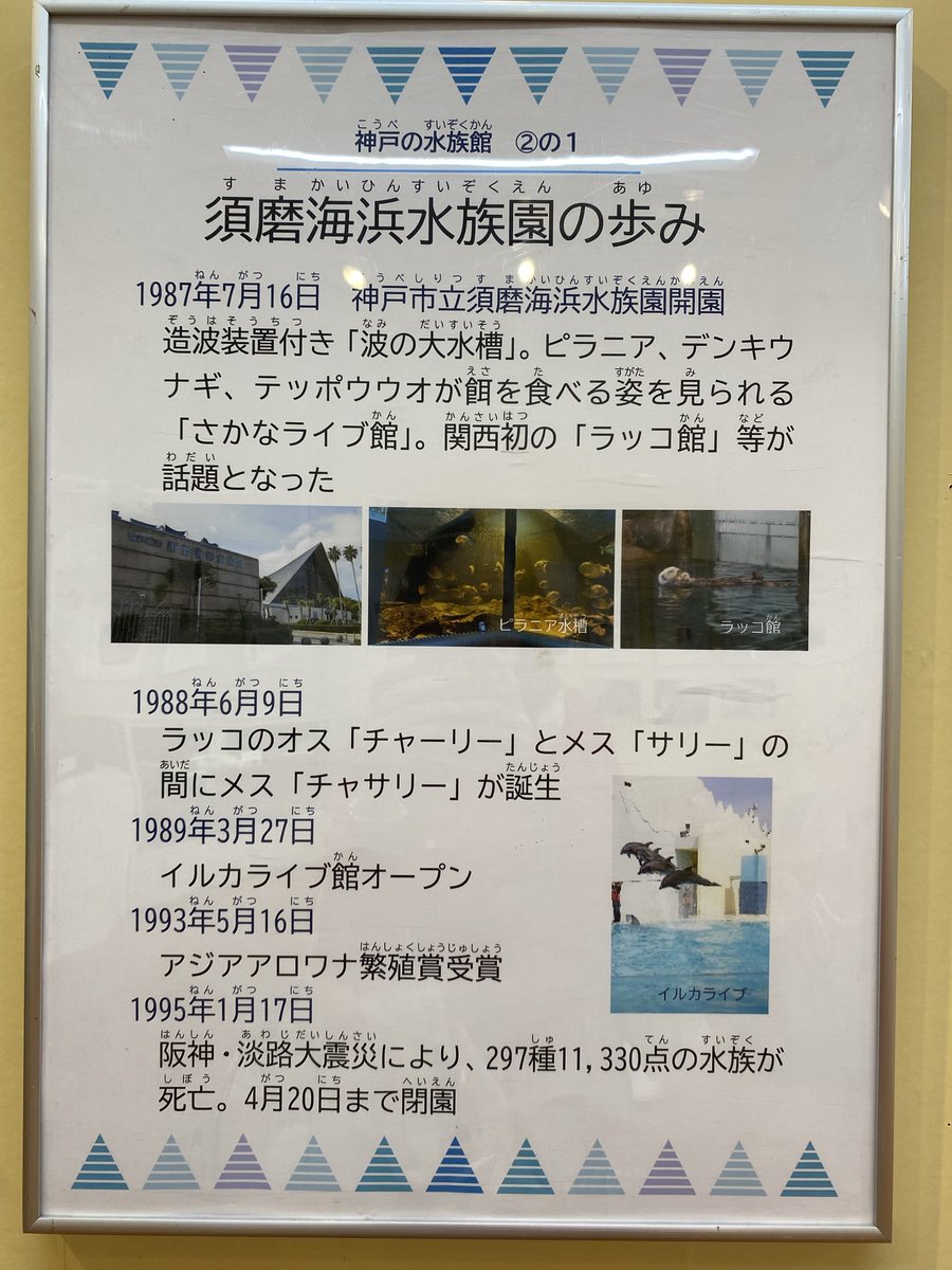 🦦みやざってぃー🦦🦦 on X