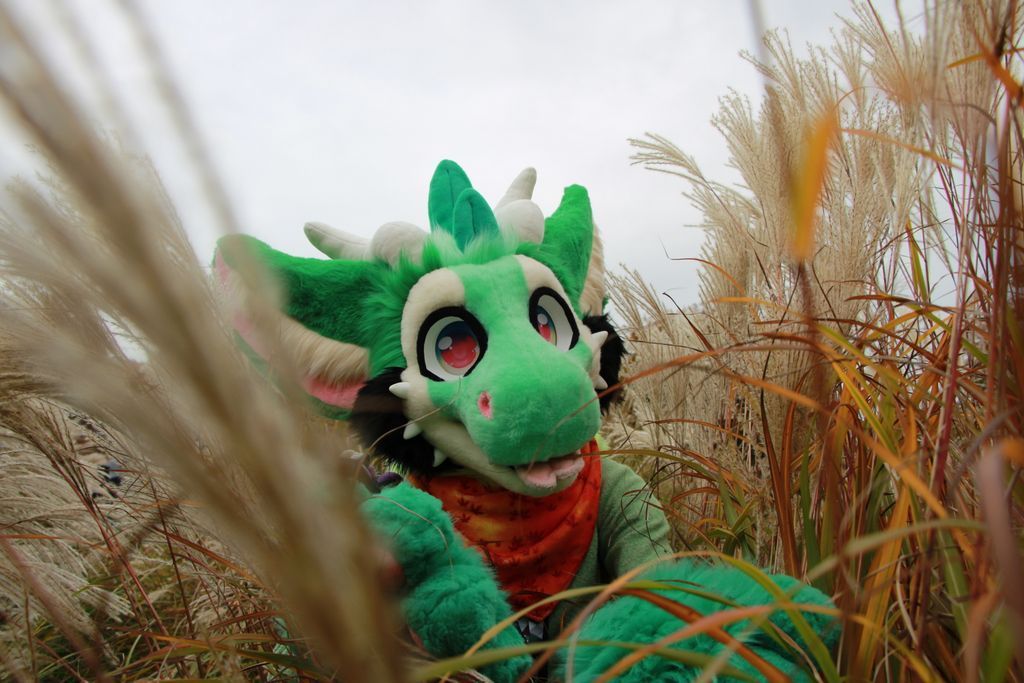 Nur noch heute &amp; morgen!
Habt ihr schöne Fotos vom Furmeet, Suitwalk oder andere Furry-Schnappschüsse? 
Dann macht mit beim Fursuit-Kalender 2026!
Einsendeschluss: 27.10. bis 18:00 Uhr.
Zu gewinnen: Platz im Kalender + Kalender selbst!

👉 muenchner-furs.de/event/fursuit-…