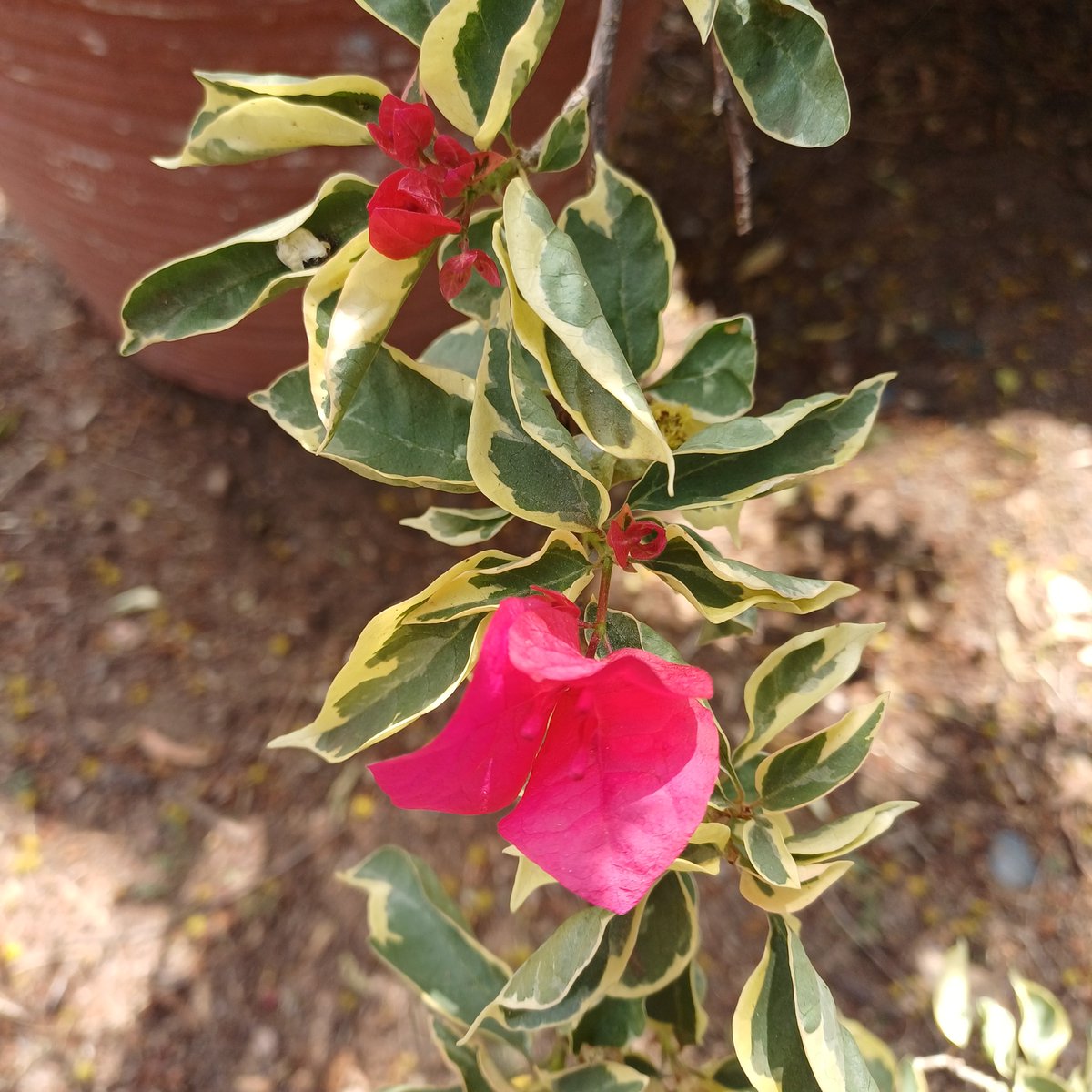 adri_pot's tweet image. ineeden.co.za