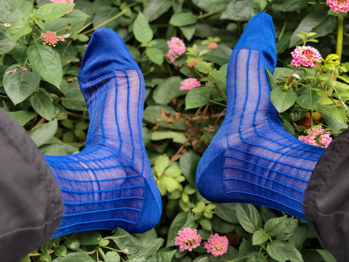 curiositymatte1 tweet media