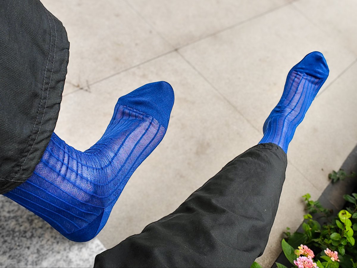 curiositymatte1 tweet media