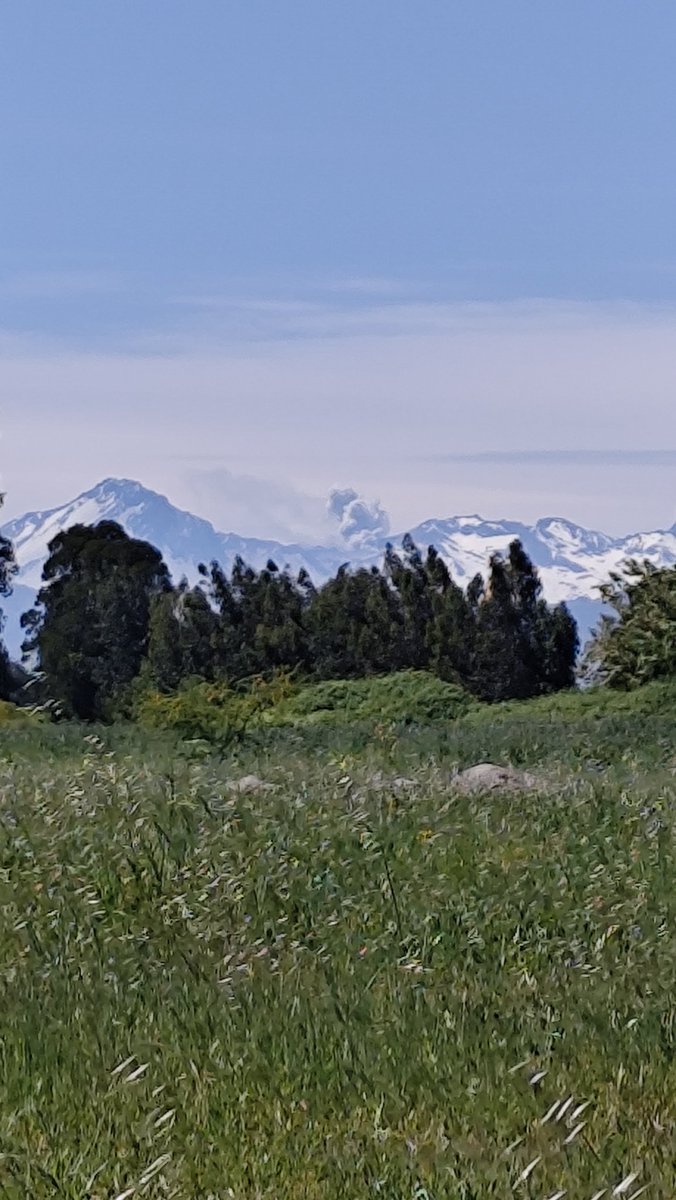Pulso importante de emisiones en complejo Planchón-Peteroa, foto a las 12:15 hrs de hoy, el viento lleva la columna hacia argentina por el momento 
<a href="/cfariasvega/">Cristian Farías</a> <a href="/RedGeoChile/">Red Geocientífica de Chile</a> <a href="/Sepulinares/">Alejandro Sepúlveda Jara</a> <a href="/PumaitenTv/">Pumaitén Tv</a> <a href="/DomiValenzuelaI/">Domi Valenzuela</a> @