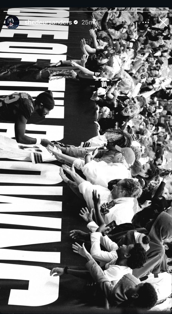 Nick Pedone tweet media