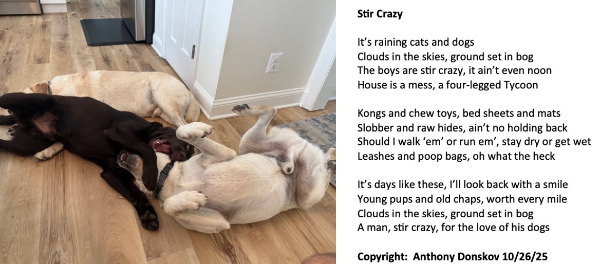 Anthony Donskov, PhD tweet media