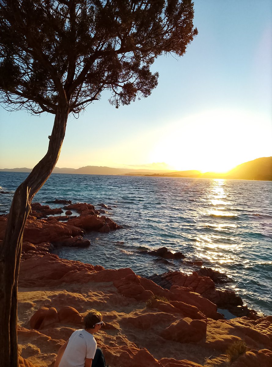 Ilona van Golen tweet media