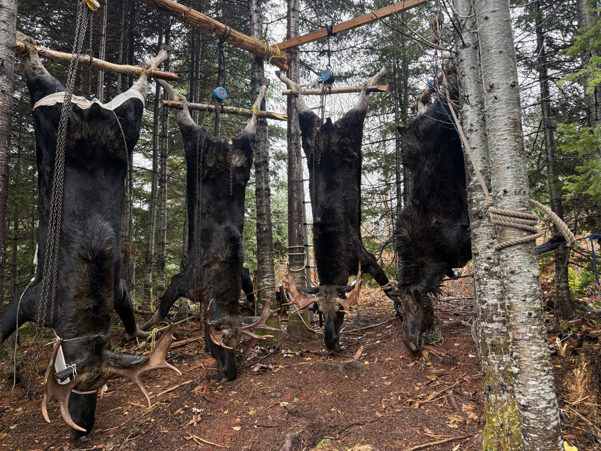 Phraid's tweet image. A good week spent in the woods, and food for weeks to come