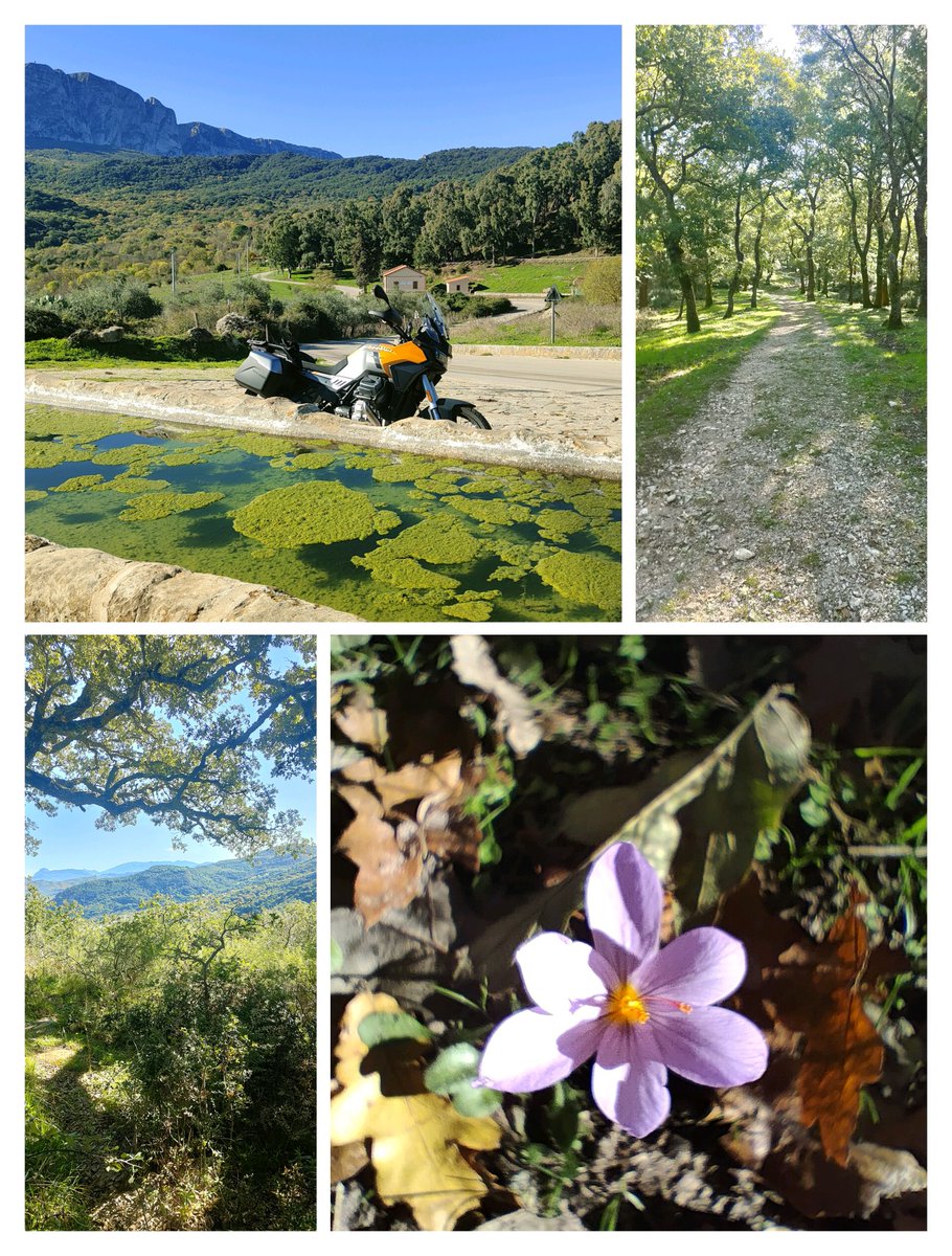 La giornata di oggi, un imprevisto regalo d'ottobre.