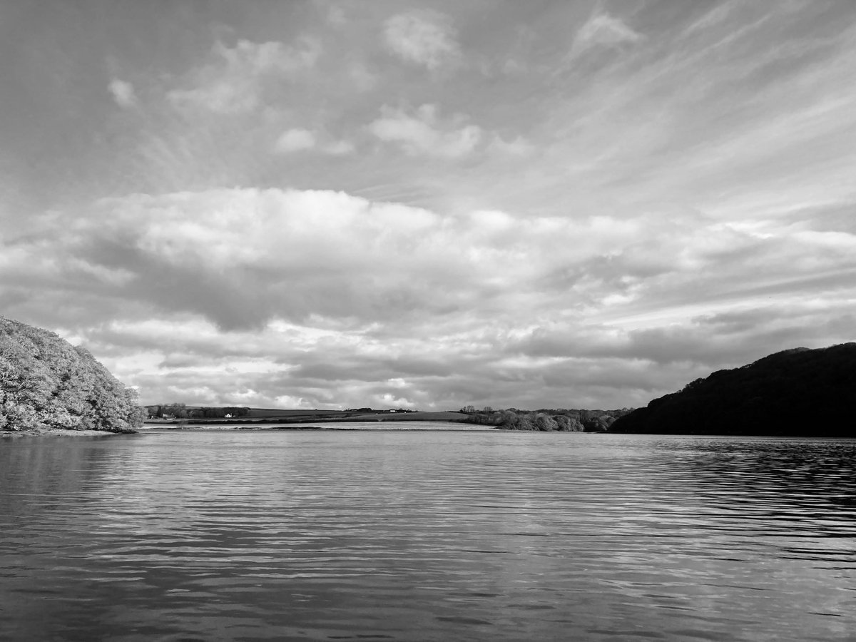 Chester the Crow (@ne_molyneux) on Twitter photo 