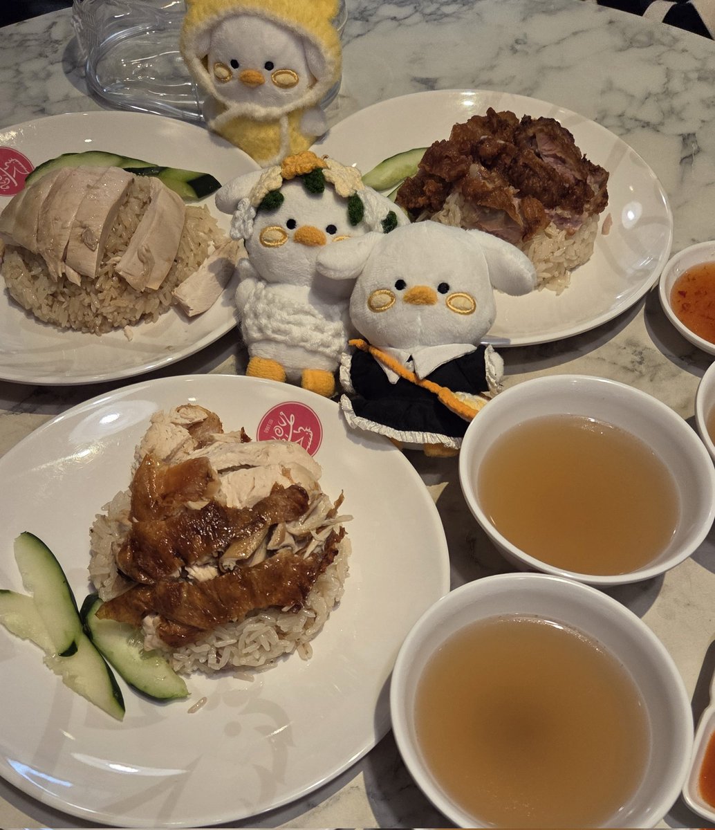 kimjyans's tweet image. 📍Go Ang Pratunam Chicken Rice

at least...is not duck...right ☺️

@jaehwany0406 
#쟌이뭐먹어