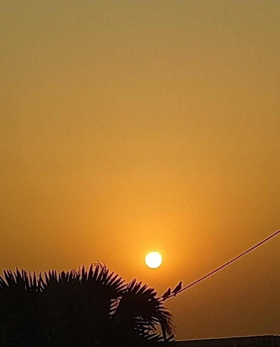 Anaaa821's tweet photo. Mobile photography is real photography📸
I proved it💫
#Anaaa https://t.co/yRSPUcpRqc