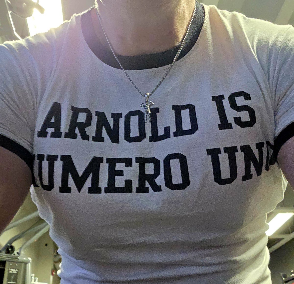 Det er søndag, og hva passer da bedre enn litt forkynnelse? #ArnoldIsNumeroUno

#triceps #sundayworkout