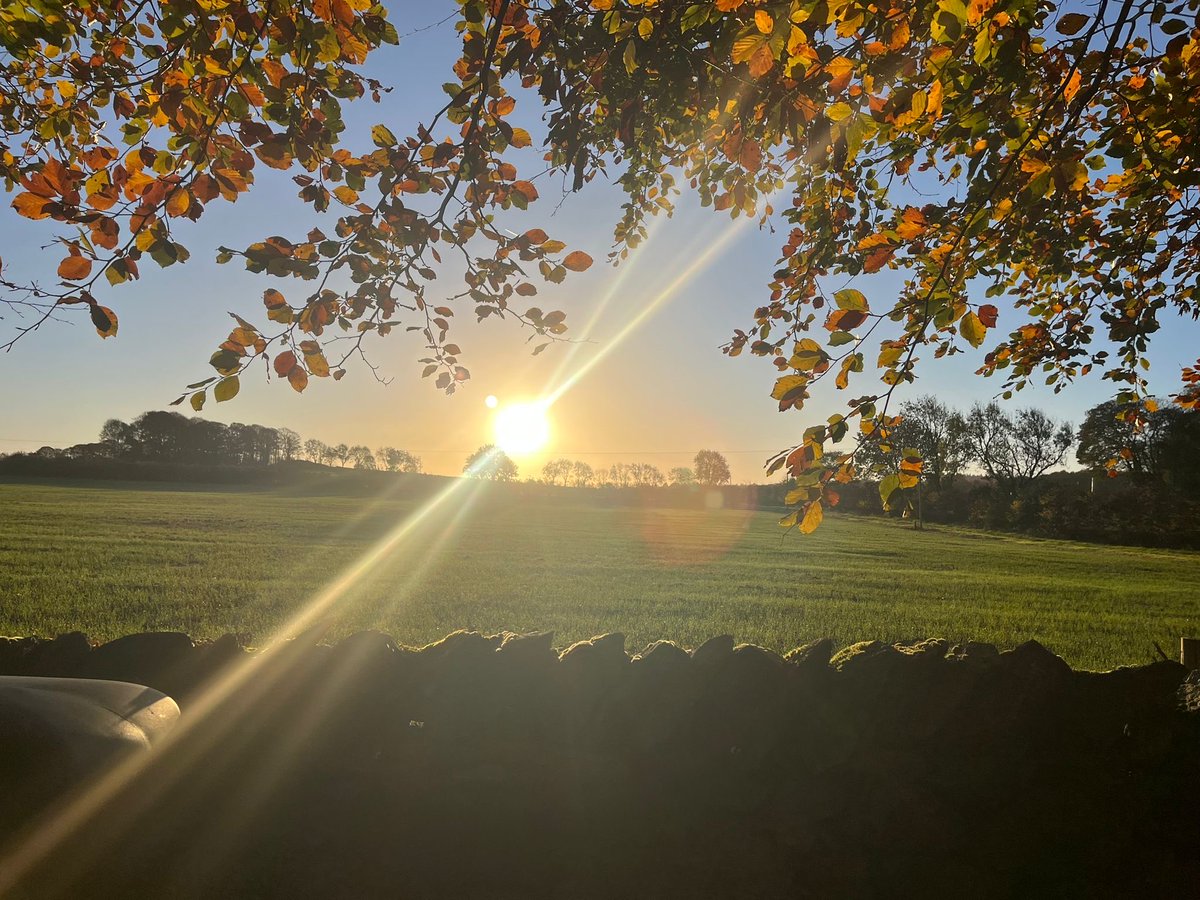 Mon E Mids Weather
A dry start at 8c. The morning will be mostly sunny with just patchy cloud but there will be a strong wind gusting to 35mph at times. From mid afternoon cloud start will build to give a cloudy end to the day. Max temp 11c. Some  evening rain poss min temp 9c.