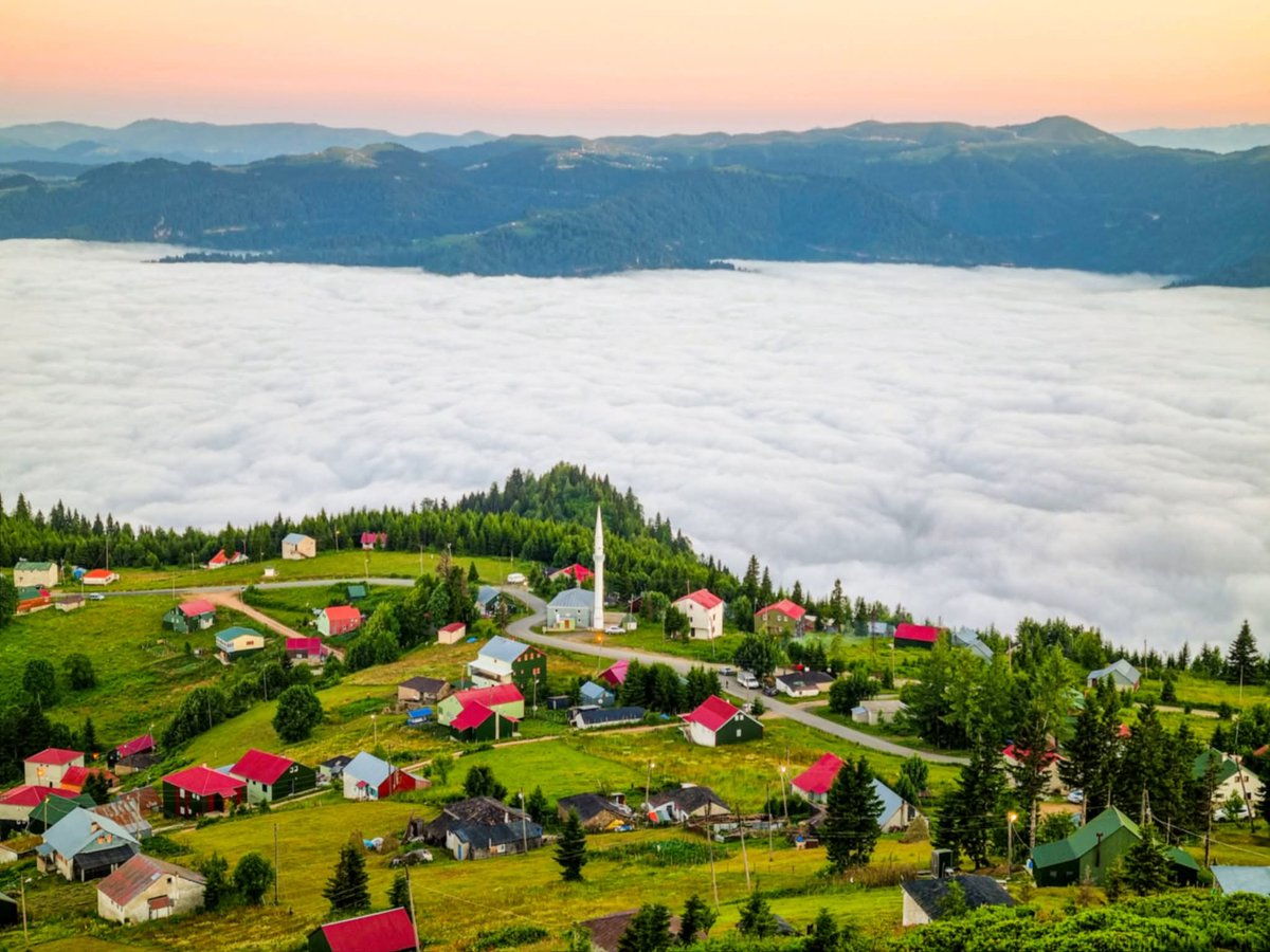 Kuskovodagi Kelinlar Glade-dagi piknik uylari: narxlar Kuskovodagi Kelinlar Glade-dagi piknik uylari: narxlar