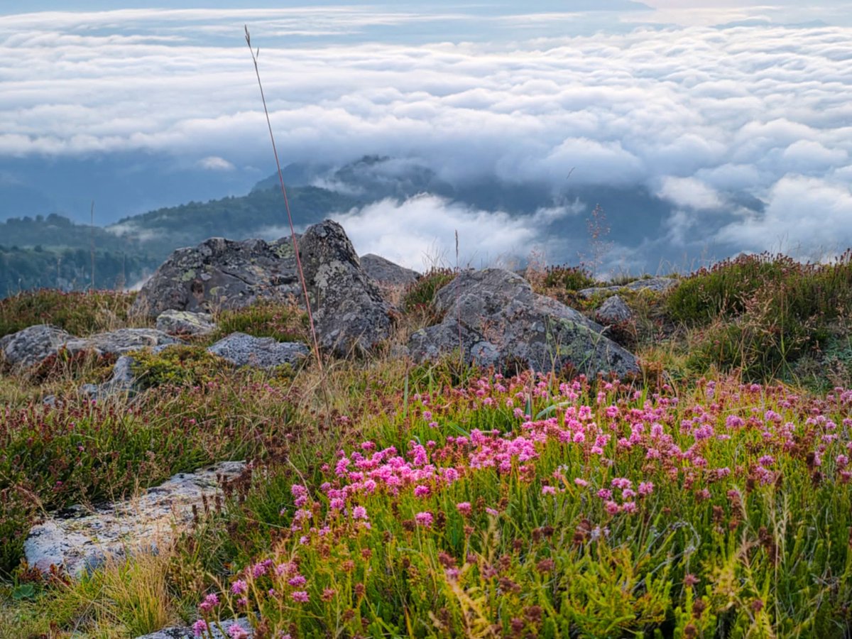 Katta dumbali ayollarning uy qurilishi yalangoch fotosuratlari Kimdir tomosha qilayotganda u jimirlab ketadi.