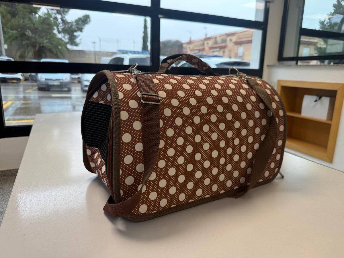 ¿ ALGUIEN LA #RECONOCE O LA #BUSCA ?
AVISO DE GATITA EN EL RETÉN DE LA POLICÍA LOCAL DE TORRENT.
NOS HEMOS ENTERADO " A POSTERIORI ", QUE UNOS PARTICULARES LA HAN ENCONTRADO SUBIDA A UN ÁRBOL EN ZONA COLEGIO TERESIANAS, Y LA LLEVARON AL RETÉN.
VIENE DE UNA CASA PORQUE ES MUY...