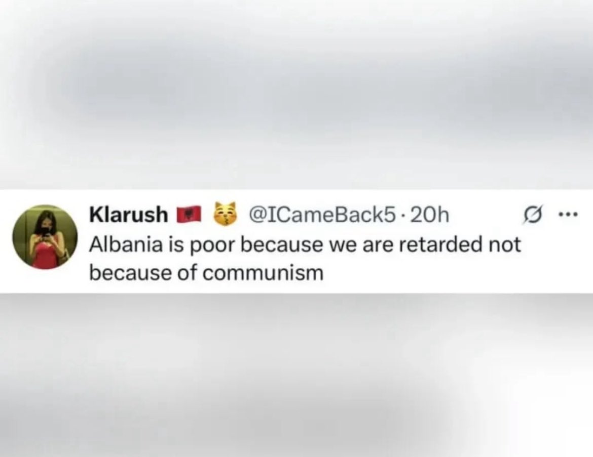 sloppenheimer🍉 (@sloppylioncourt) on Twitter photo evergreen evergreen