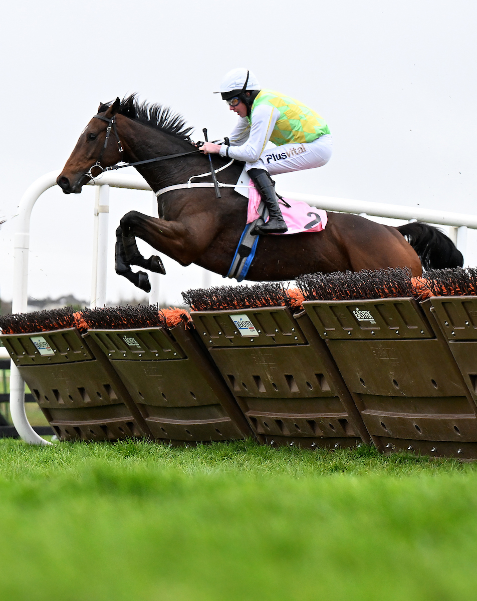 Galway_Races tweet picture