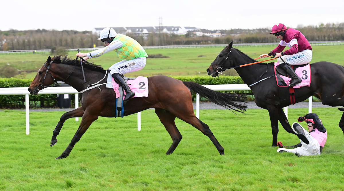 Galway_Races tweet picture