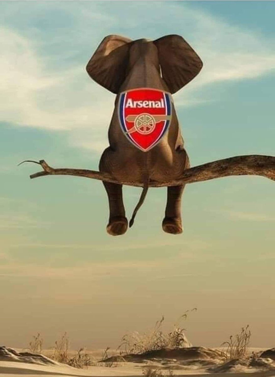 عبدالله الدرويش tweet media