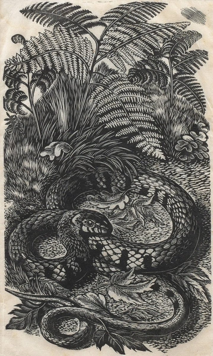 Richard Morris tweet media