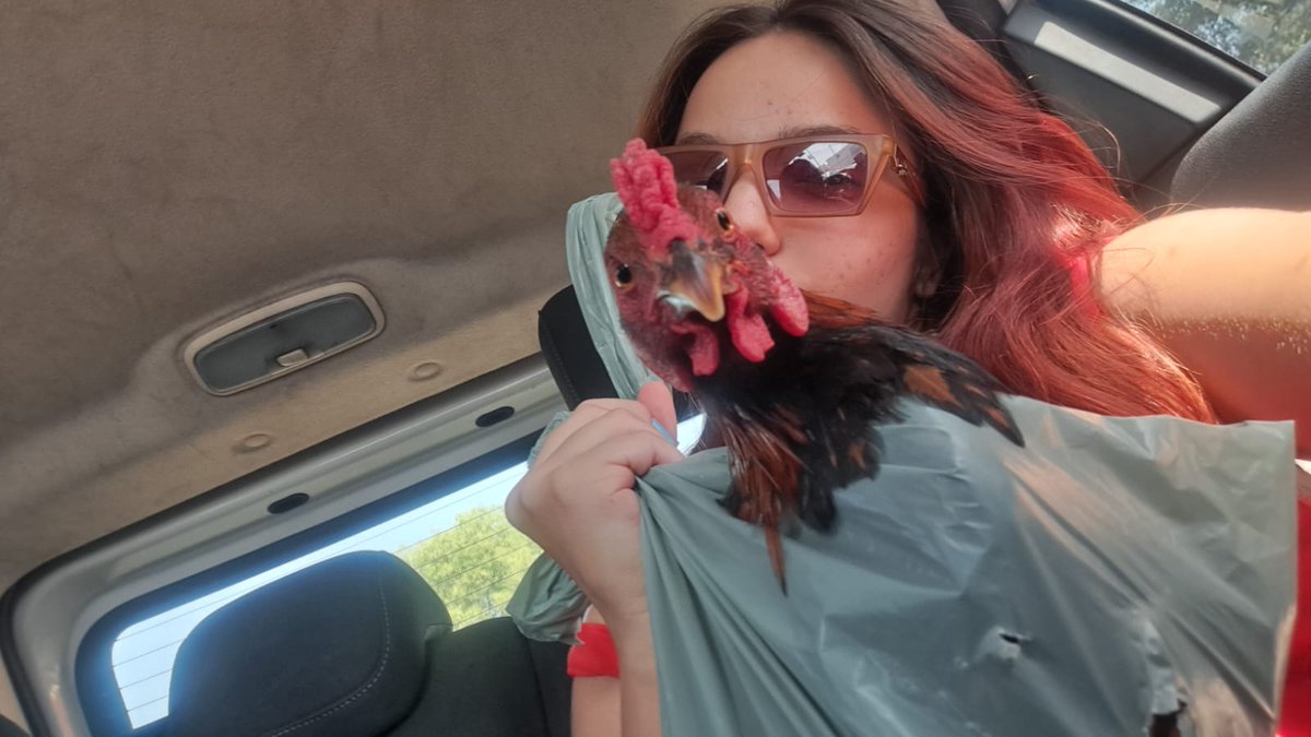 Quem tem frescura não dura na macumba papai