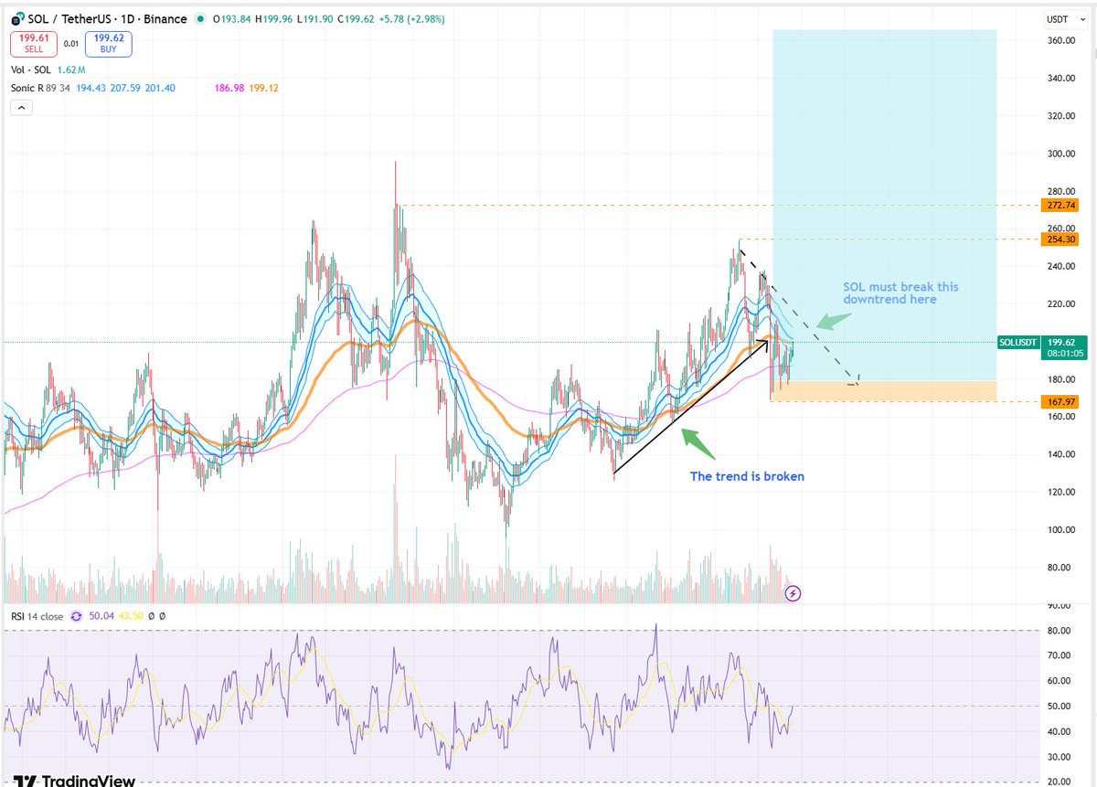 SALMON | base.eth | π² 🌶️ tweet media