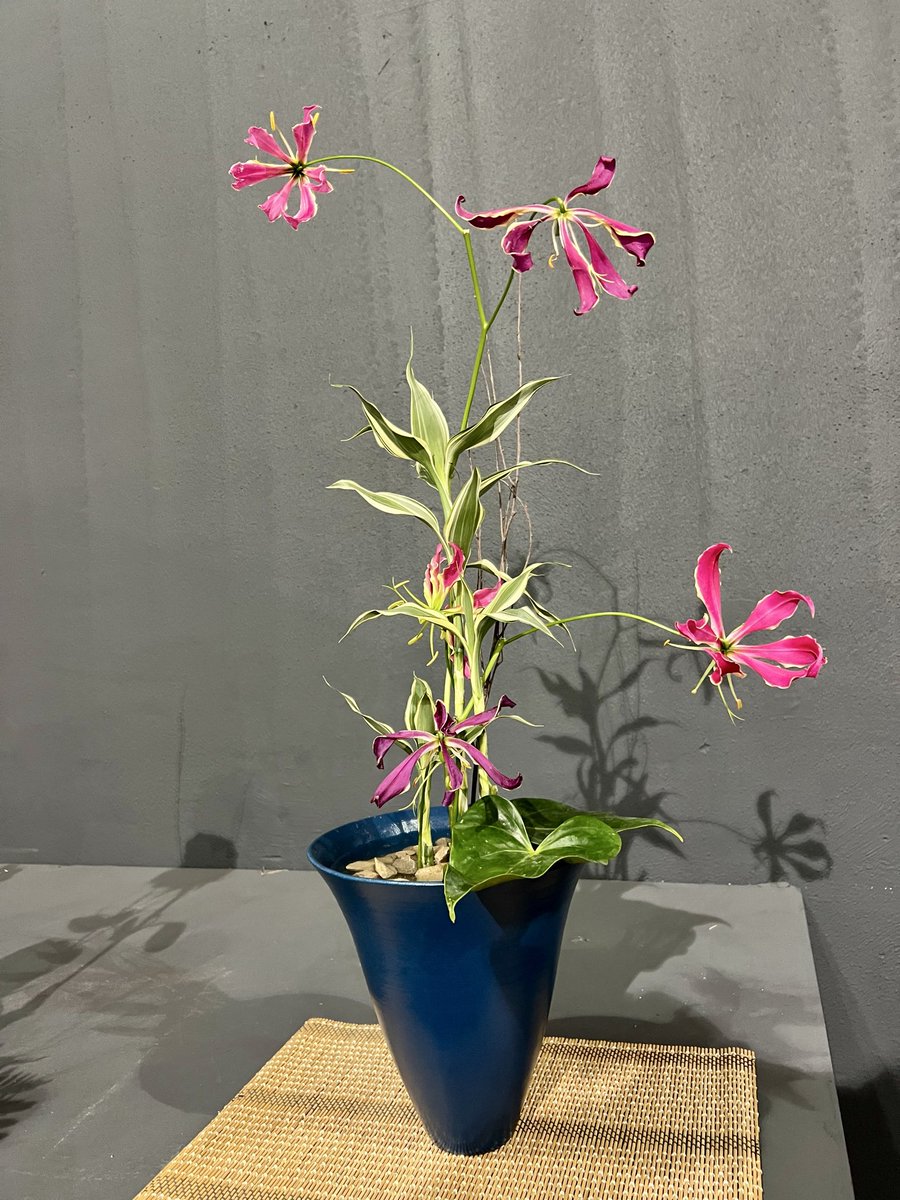 Explosió de color i art floral Ikebana al Refugi 1 del Moll de Costa del <a href="/PortTarragona/">Port Tarragona</a> amb la mestra Fina Espallargas.
I tot en el mar de les jornades i exposició de bonsais d’aquest cap de setmana organitzades per l’associació Tarragona bonsai.